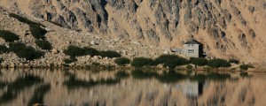 IMG_1621_ridotta