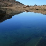 IMG_1645_ridotta