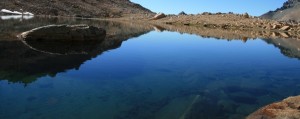IMG_1645_ridotta