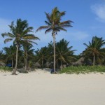 IMG_5751_ridotta