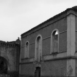 IMG_7384_ridotta