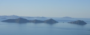 IMG_0825_ridotta