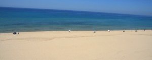 IMG_9011_ridotta
