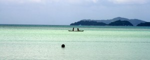 IMG_4443